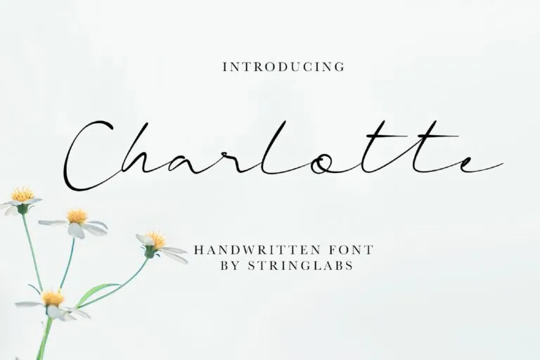 Charlotte Font Amongst the Best Fonts for Clothing Brands