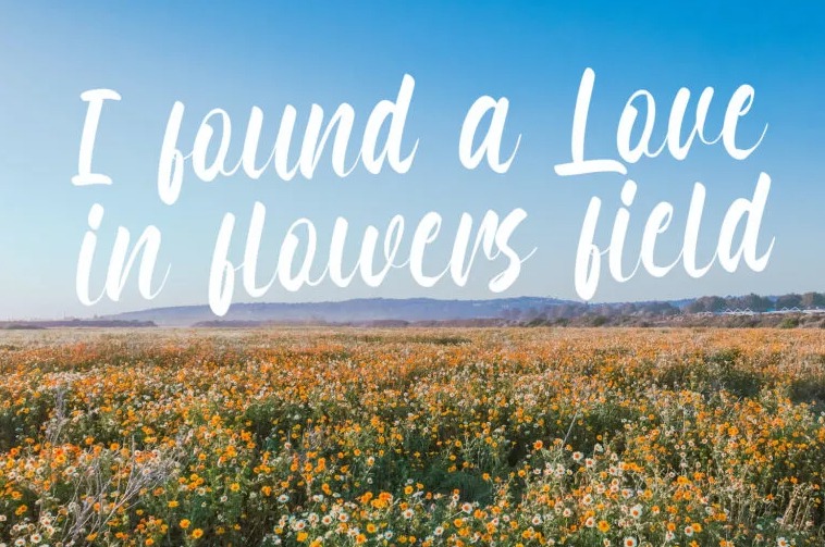 Honeymoon Font For Quotes