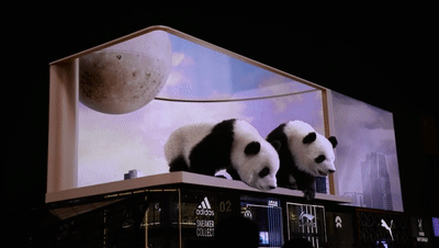 3D Pandas in Chengdu