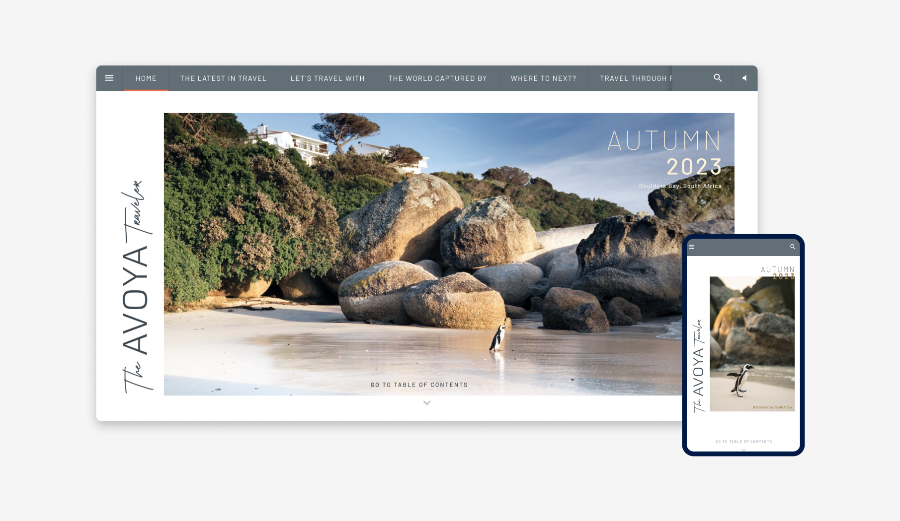 A brochure layout with clear visuals