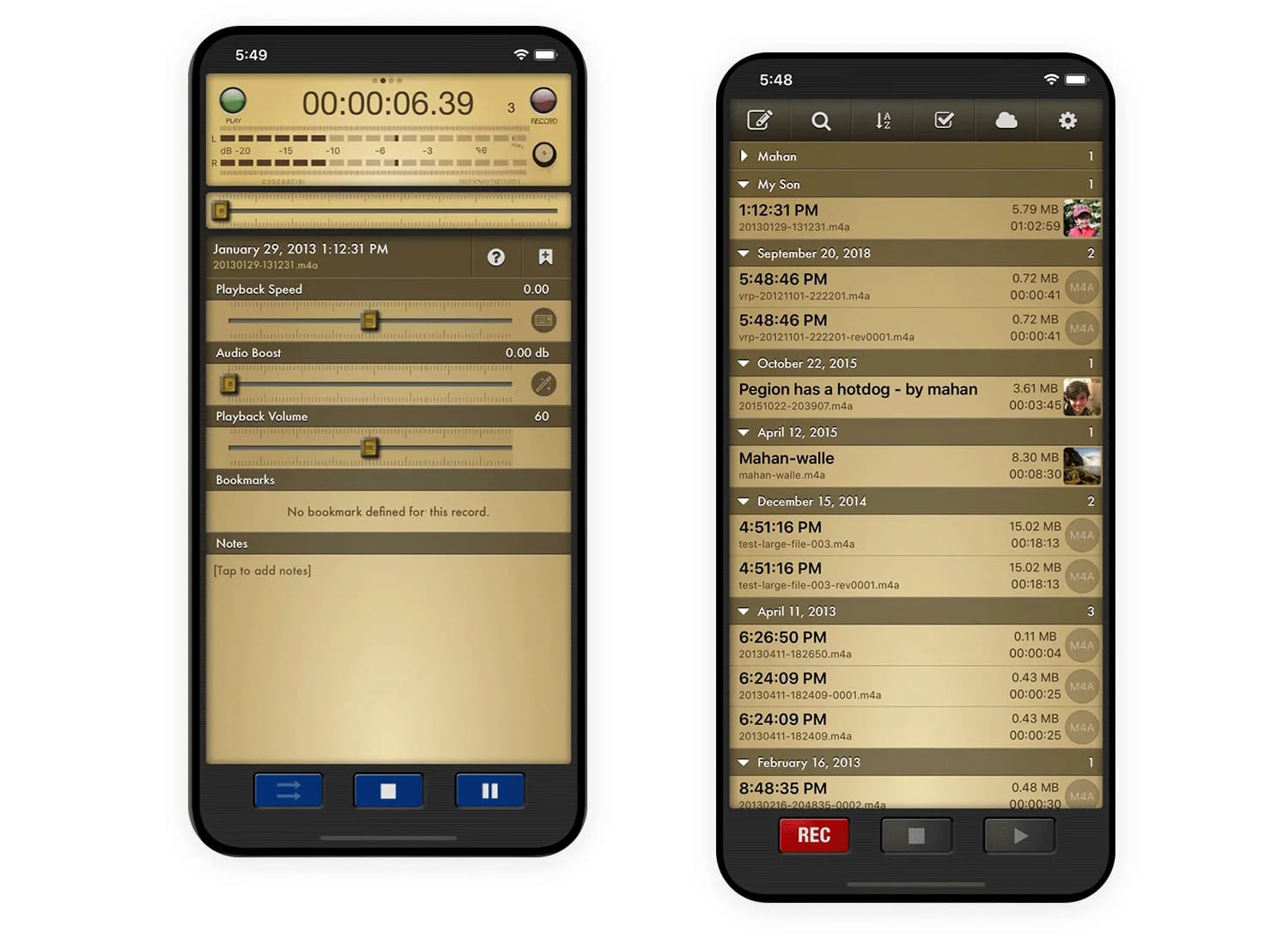 Voice Record Pro Interface